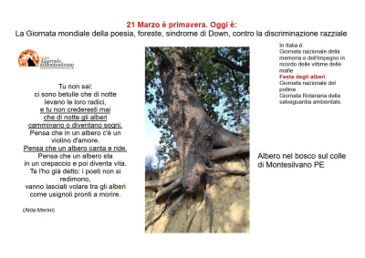 21 marzo: poesia, festa dell'albero, un giorno di risveglio!
