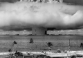 fungo nucleare