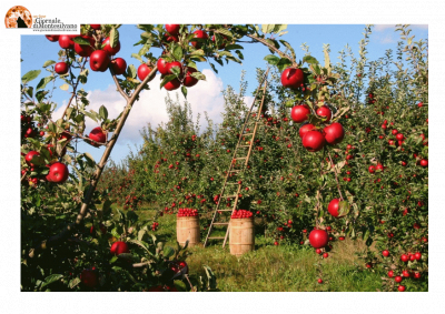 Abruzzo/bollette. Consorzi di Bonifica: Le elezioni rinviate al 30/11/2023