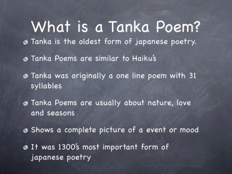 la spigazione del tanka