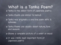 la spigazione del tanka