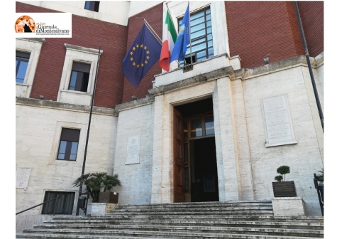 Pescara, un progetto innovativo senza sacrificare i pini di via Pepe