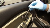 Germi e batteri, sono più in auto che sulla tazza del wc.