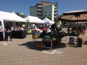 Montesilvano/Differenziata, raccota porta a porta nei mercati rionali