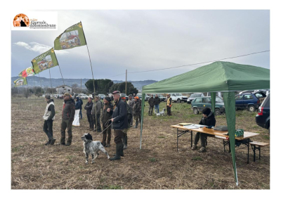 L’Italcaccia a Spoltore con la I gara stagionale di cinofilia