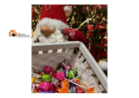 Montesilvano si accendono le luci della Casa di Babbo Natale