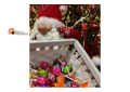 Montesilvano si accendono le luci della Casa di Babbo Natale