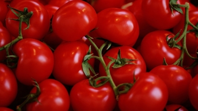 Allarme Coldiretti, +680% import pomodoro da Cina