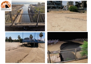 i quattro collettori sul mare