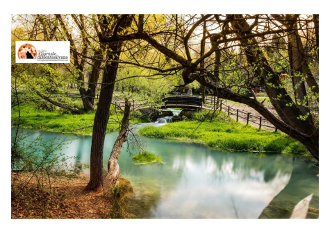 Villetta Barrea, il paese tra i cervi, ospita il Master in Management dei Parchi e delle Aree Protette