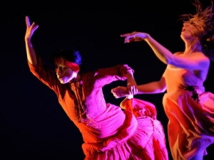 Quella Meraviglia di Alice