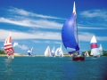 Vela. Ciccotti vince la II tappa nazionale della classe Contender
