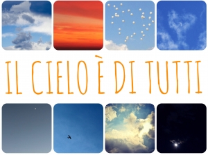 “Il cielo è di tutti”, mostra fotografica per aiutare i gatti abbandonati