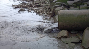 foto di repertorio e generica