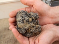 Castilenti fiera della neoruralita' cose buone e belle per abitare le aree interne d'Abruzzo