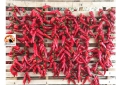 Festival del peperone dolce di Altino. "Ripartiamo dal meglio"