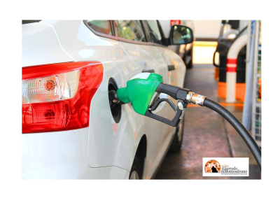 Aumento prezzi carburanti, le associazioni dei consumatori abruzzesi chiedono l’intervento dei prefetti