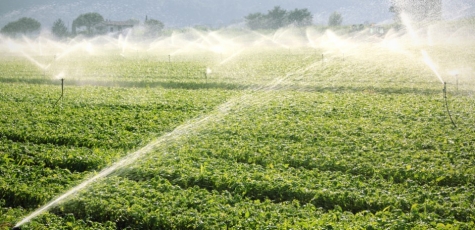 Chieti/consorzio bonifica sud, Coldiretti: maggiorazione delle tariffe industriali