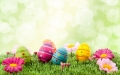 Buona Pasqua 2017