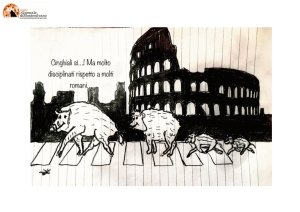 Roma, ungulati sulle strisce in via Baldo degli Ubaldi.