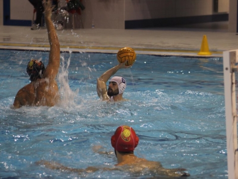 Pallanuoto club aquatico