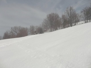 Abruzzo/Sci e Neve. Piano della Tarica, paesaggio da applauso.