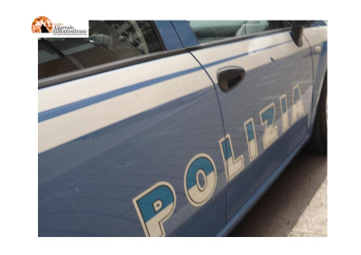 Roma, i ladri hanno ucciso Ricky, cocker spaniel inglese, gettato dal sesto piano